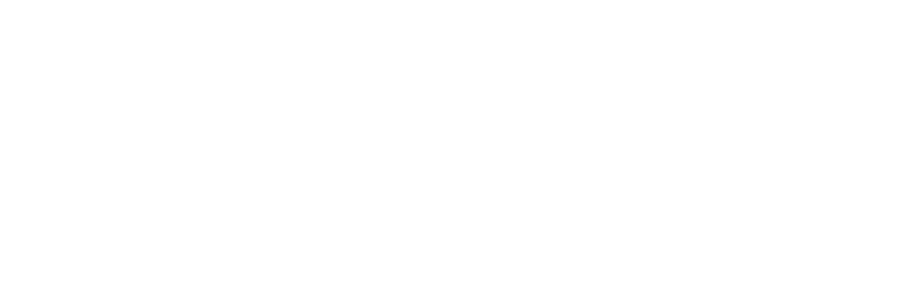 Bogipol